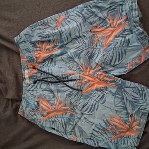 Mens Summer Shorts